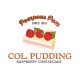 Col Pudding's Raspberry Cheesecake 30ml